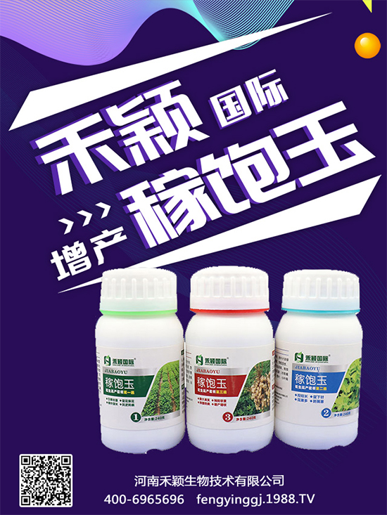 秋葵種植和收獲時間，秋葵種植的生長環(huán)境！