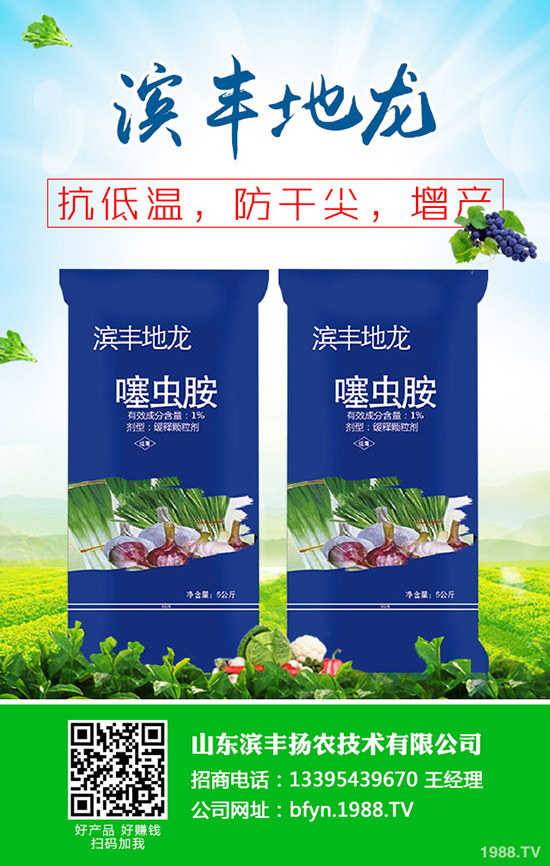     秋冬甘蔗什么時候種植？甘蔗的種植時間及種植技術(shù)！