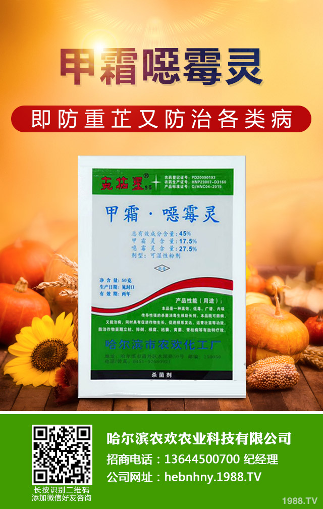 哪些方法能桑樹赤銹病？桑樹赤銹病防治技巧