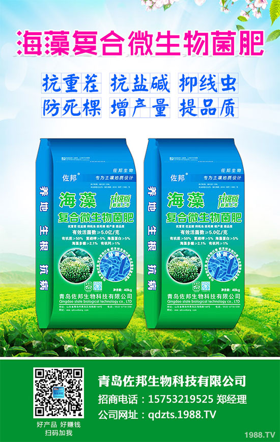 大蔥該如何施肥才能高產(chǎn)？大蔥高產(chǎn)施肥技術(shù)