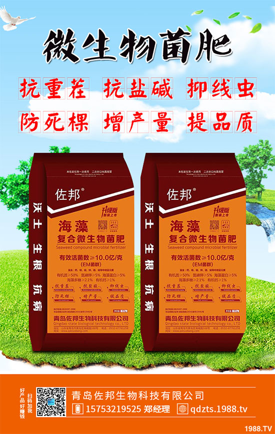 大蔥該如何施肥才能高產(chǎn)？大蔥高產(chǎn)施肥技術(shù)