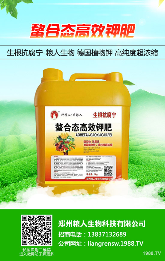 金銀花如何施肥，金銀花高產(chǎn)施肥要點(diǎn)！