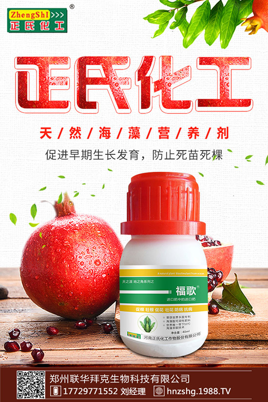 金銀花有什么作用，金銀花的功效與食用禁忌！