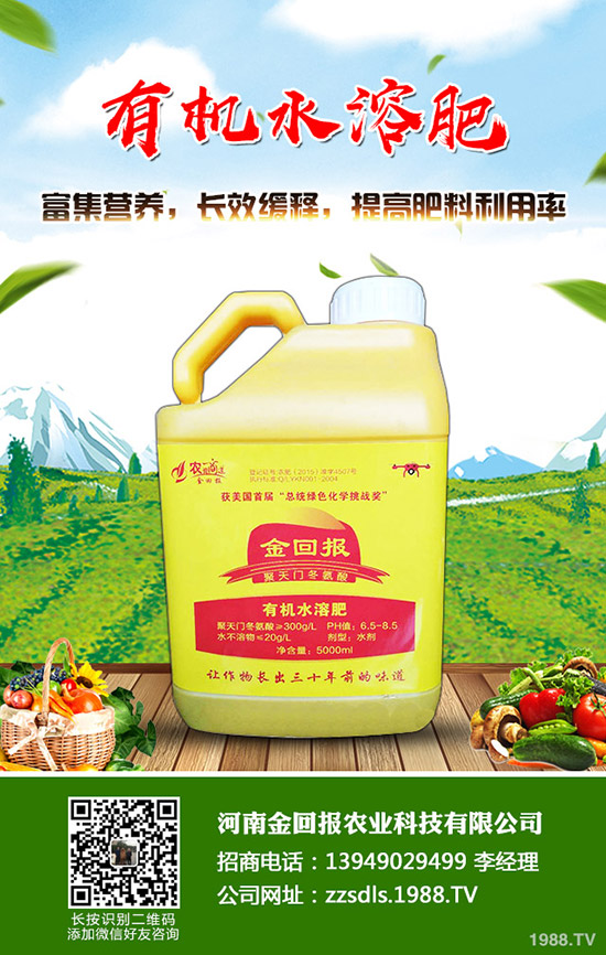 苦蕎麥什么時候種植?苦蕎麥高產種植技術!