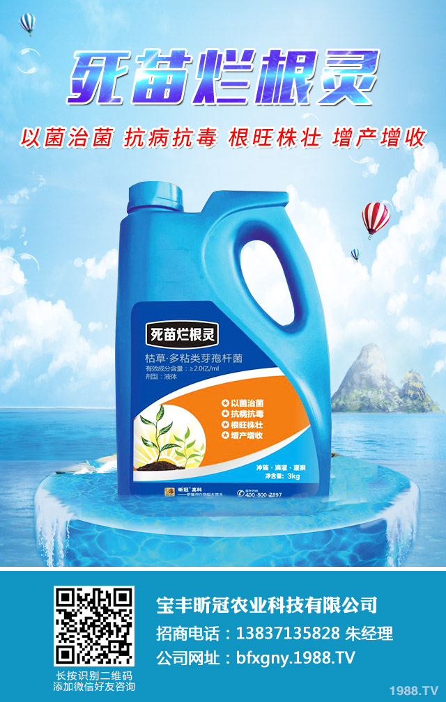 水稻爛秧有什么解決方法？水稻爛秧解決方法