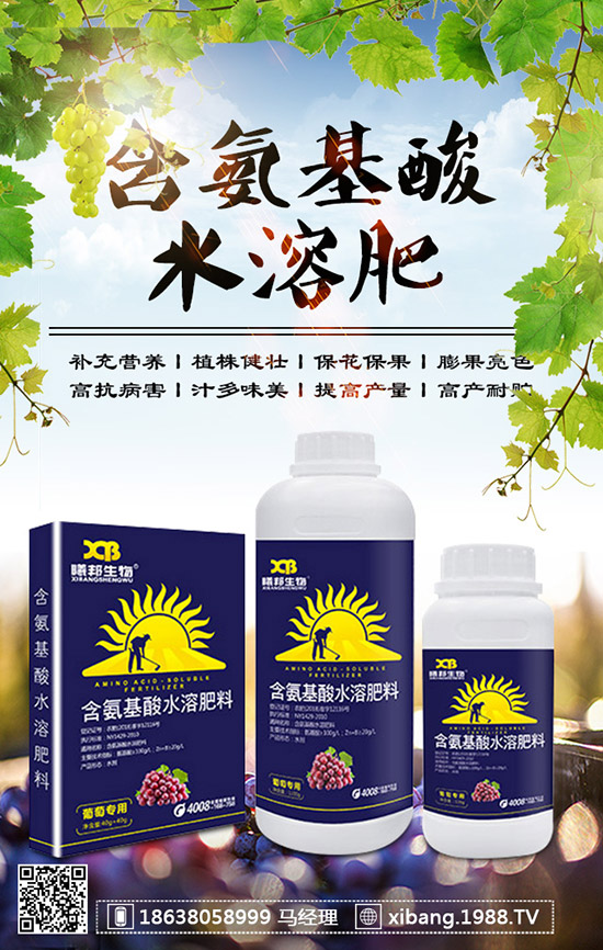 櫻桃蘿卜什么時候種植？櫻桃蘿卜是否需要澆水