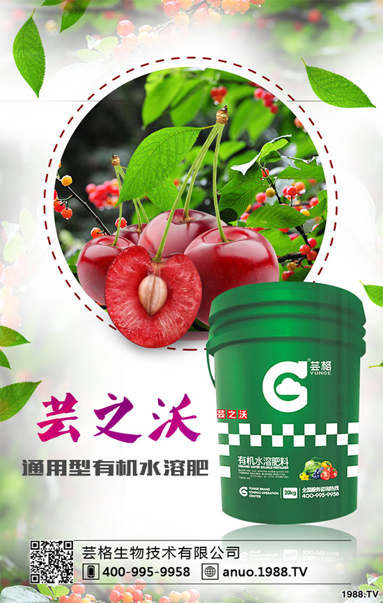 大蔥灰霉病有哪些危害?該如何防治?大蔥灰霉病防治措施