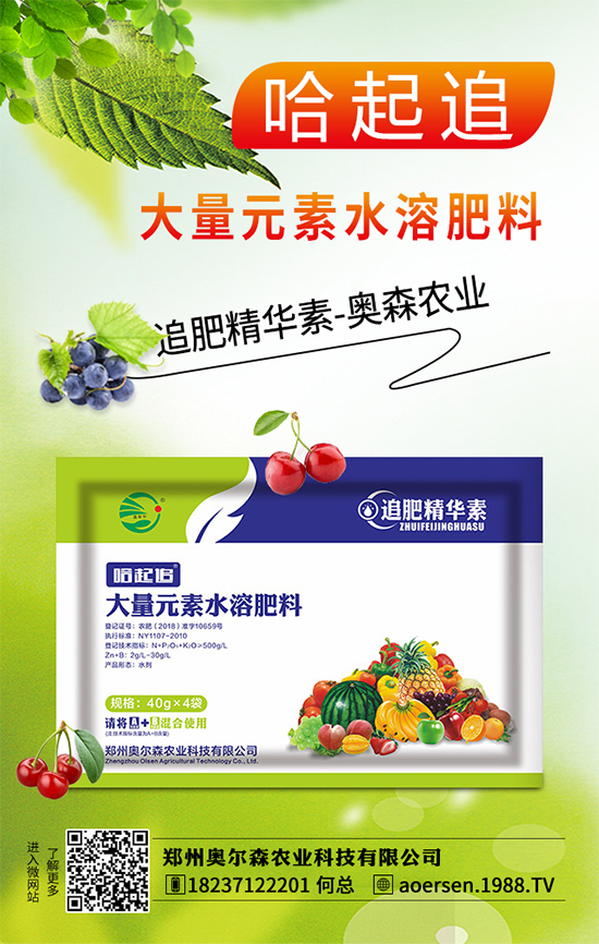 大蔥灰霉病有哪些危害?該如何防治?大蔥灰霉病防治措施