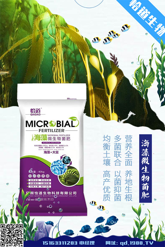 大豆空莢是什么原因造成的？大豆空莢預防措施！