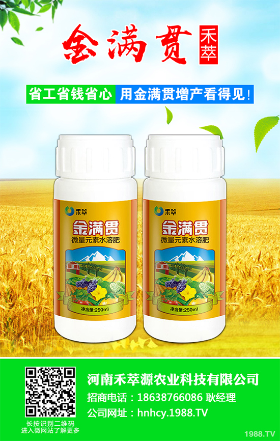 大蔥軟腐病危害這么大，到底該如何防治？大蔥軟腐病的癥狀及防治方法