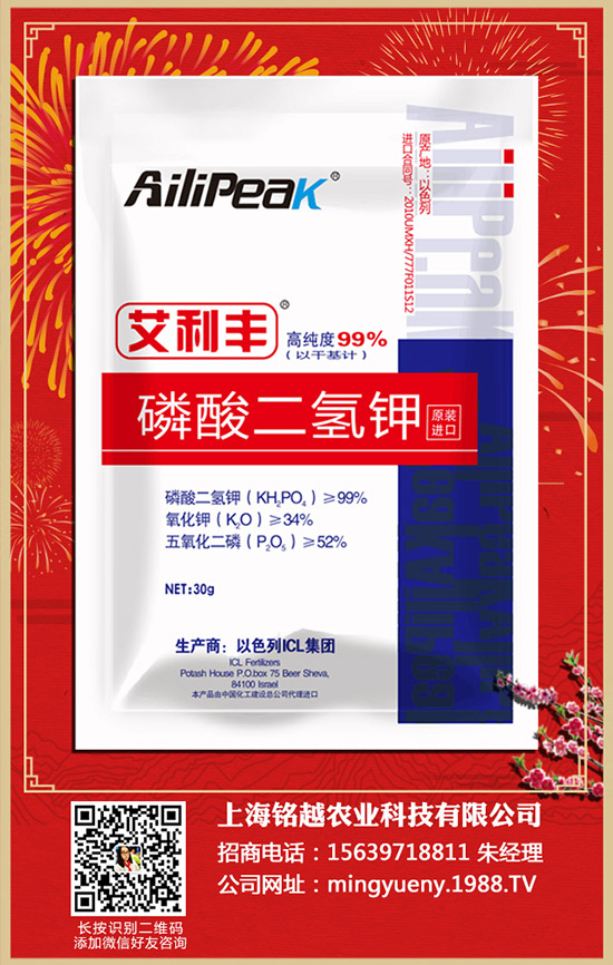 紫薯如何種植，紫薯種植方法和注意事項！