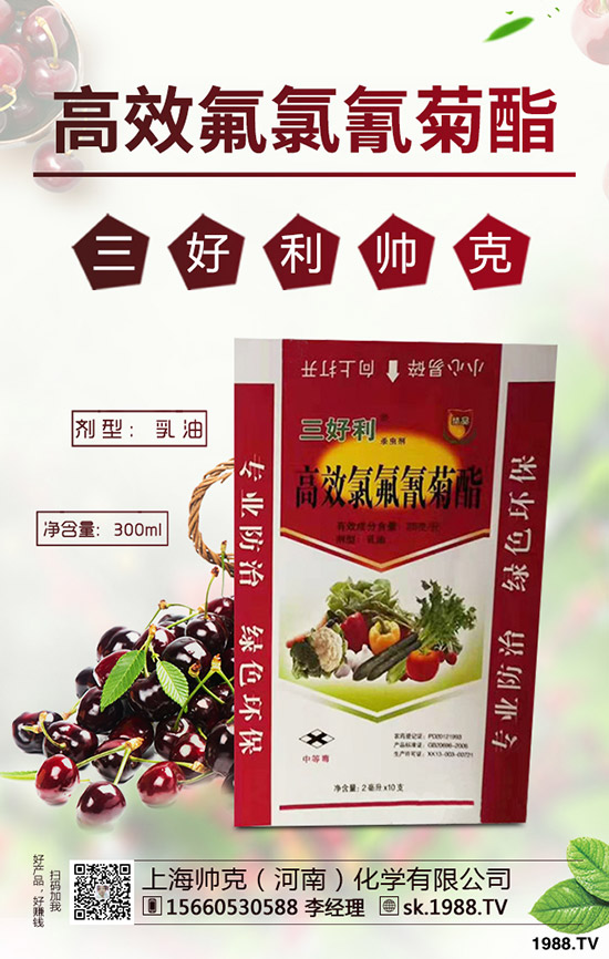 辣木樹(shù)的種植前景如何，如何種植辣木樹(shù)？