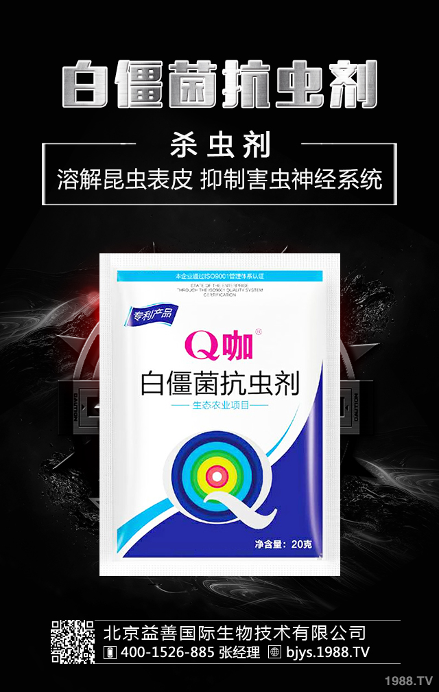 �¼����x����ô�������¼����x�����μ��\