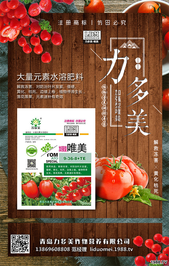 豌豆該怎么種？豌豆的播種方法及種植管理技術(shù)