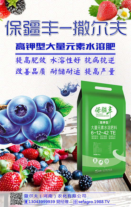 豌豆該怎么施肥?豌豆高產施肥技術