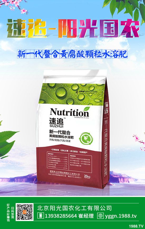 2019年9月24日今日最新一銨市場價格行情日報