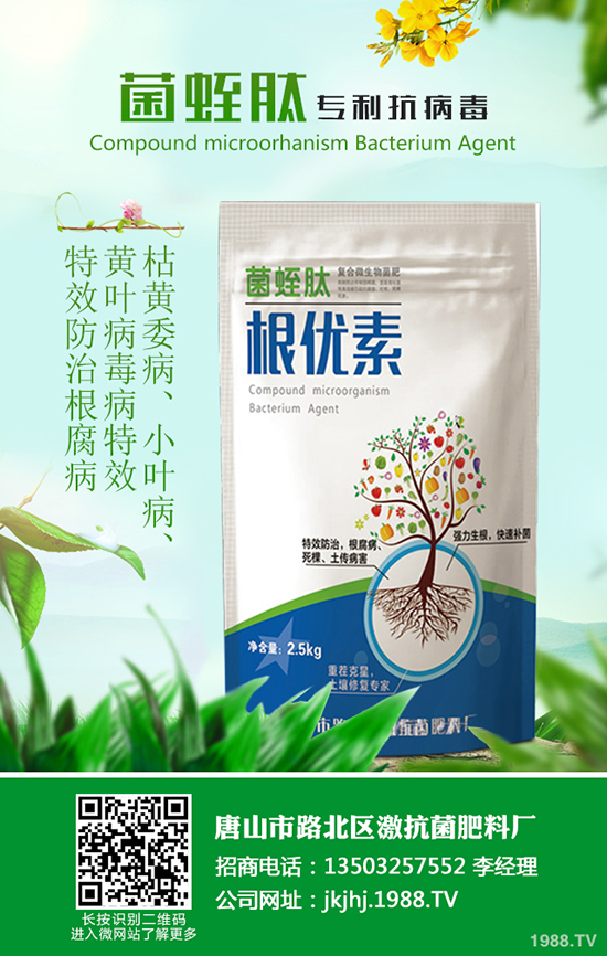 ������ô�N�óԣ�����ķNֲ���g(sh��)����Щ��