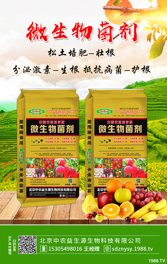     大棚芹菜常見病害及蟲害有哪些？防治措施及藥劑使用推薦！