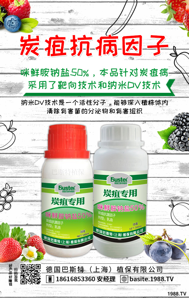 小麥病蟲(chóng)害危害大！小麥苗期的病害和蟲(chóng)害介紹