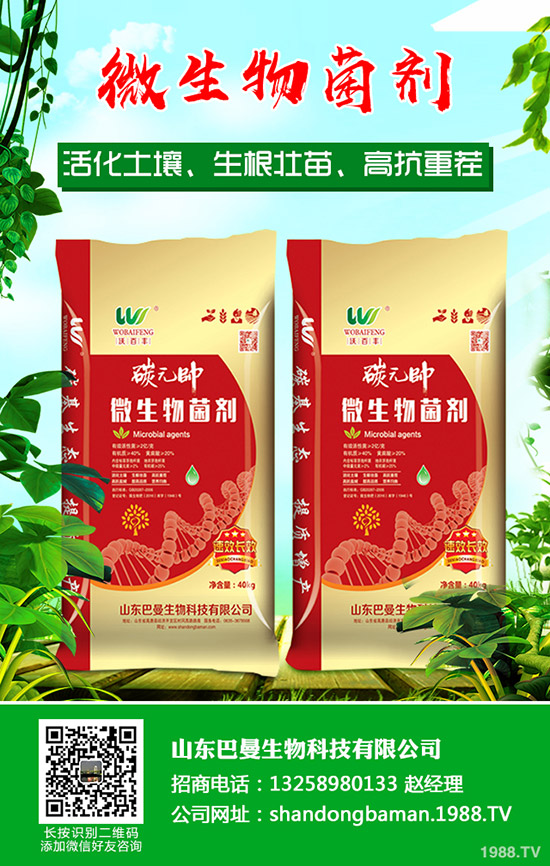     2019年9月25日近期最新國內(nèi)一銨市場行情價格走勢分析