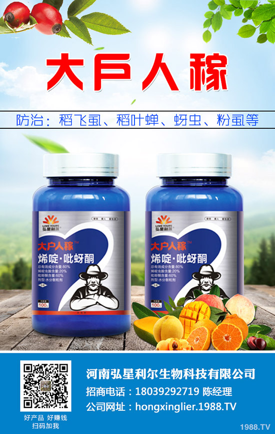 ���[�Nֲ��Ҫ��ô���������[�Nֲ�������g(sh��)Ҫ�c��