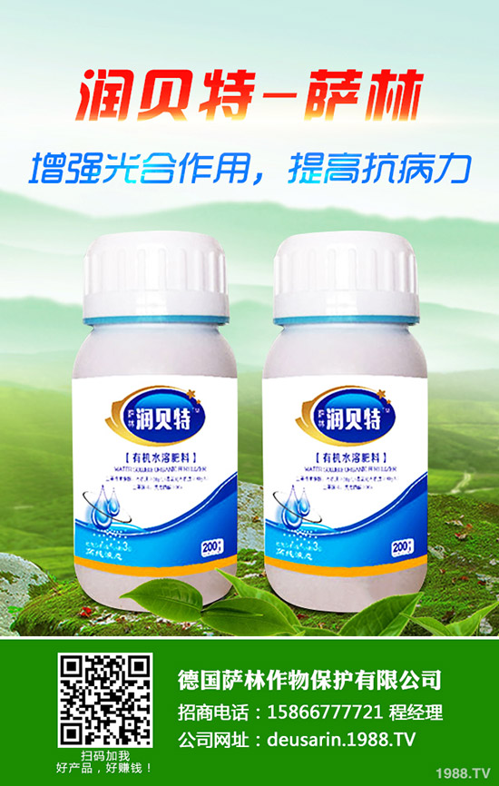 生姜的種植時(shí)間，生姜高產(chǎn)種植技術(shù)！