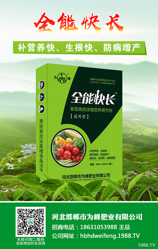 吃茼蒿有哪些好處？茼蒿的功效作用及食用禁忌