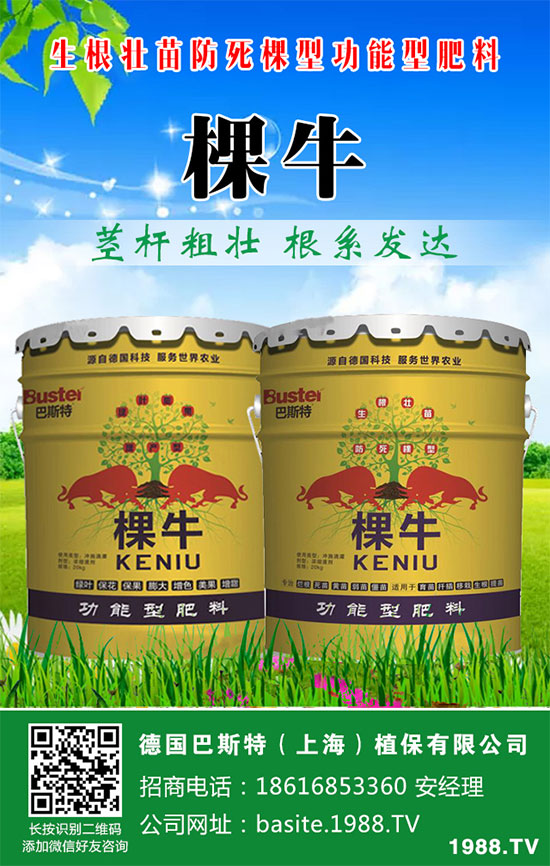 ���[���ʩ�������[�ƌW(xu��)������ʩ�ʷ�����
