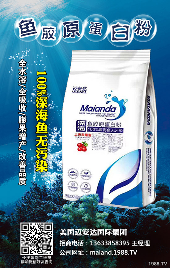 小麥播種多少合適，怎樣播種小麥高產(chǎn)？