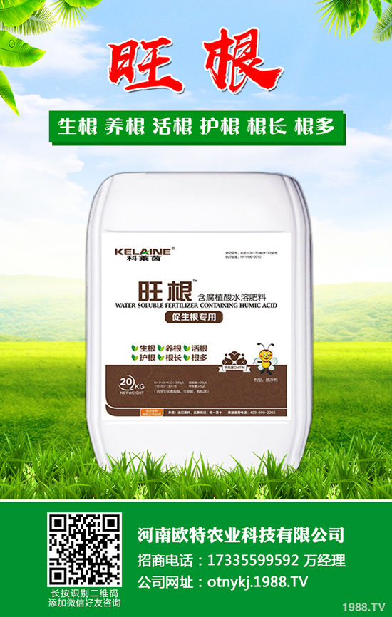 枇杷怎么種植，枇杷的種植及管理技術(shù)！