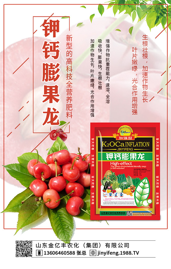     萵苣種植在我國有春茬與秋茬之分，分別使用不同的品種。秋茬品種在較高的溫度條件下，也能形成蓮座葉，然后長出粗大的莖。那么，萵苣的品種有哪些？怎么種植才好呢？