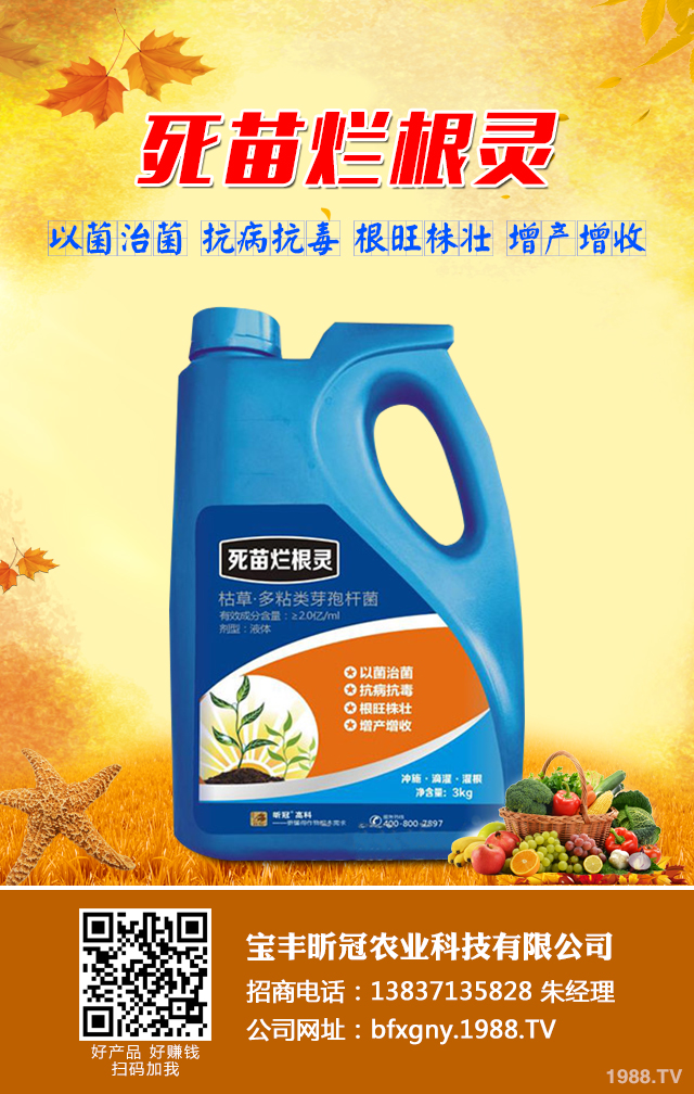 小麥死苗應該如何防治？小麥死苗的原因