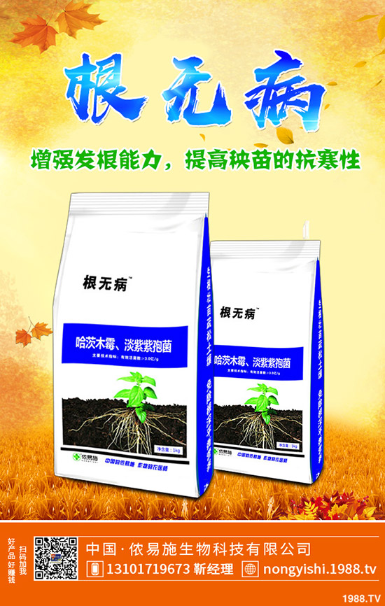     國慶節(jié)前一銨出貨壓力大！最新一銨行情走勢預(yù)測2019-9-30