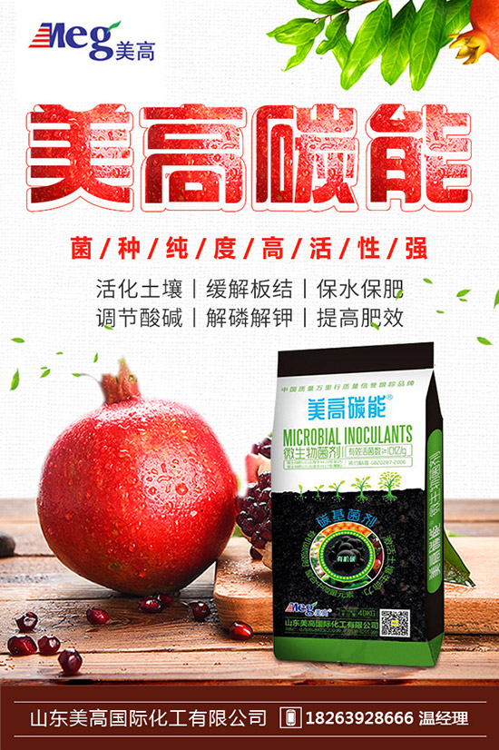     秋季家庭陽臺種植什么蔬菜好？秋冬陽臺種菜的方法！