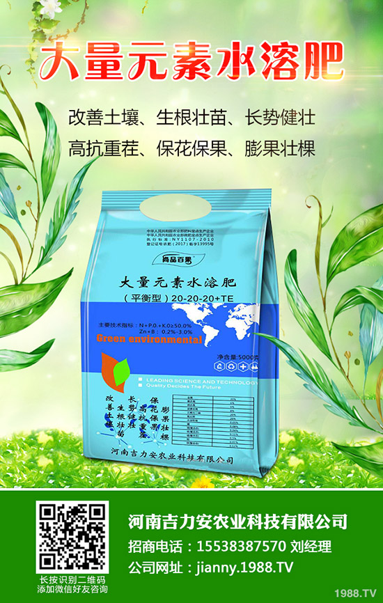 天麻什么時候種，天麻種植管理技巧