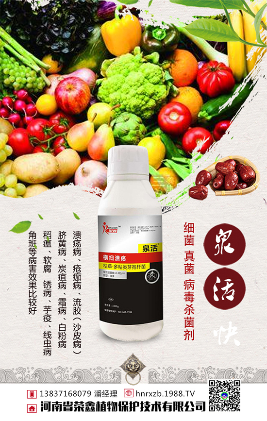 白菜軟腐病發(fā)病癥狀,白菜軟腐病防治措施