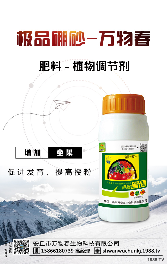 油橄欖怎么修剪？常見(jiàn)油橄欖修剪方法