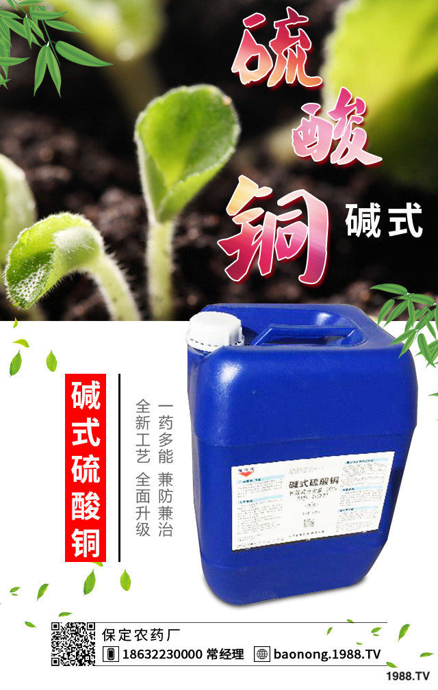 如何巧治蘇鐵葉斑??？蘇鐵葉斑病防治技巧