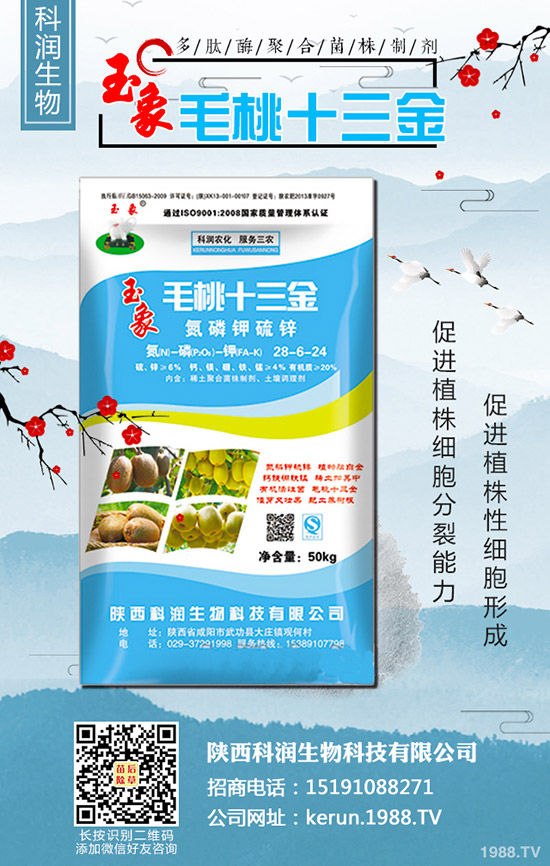 大蔥秋季什么時間種植合適?大蔥秋季種植時間及種植技術(shù)!