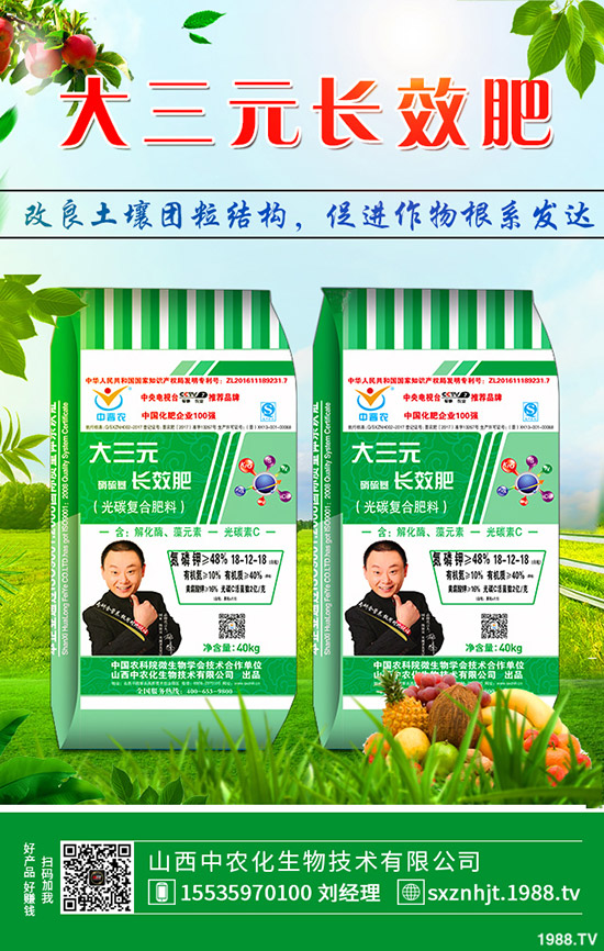     秋季大蔥如何管理？秋季大蔥種植管理方法及技術！