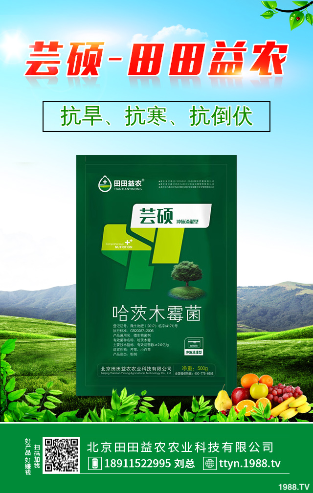 冬季柑橘如何防凍？冬季柑橘防凍技巧