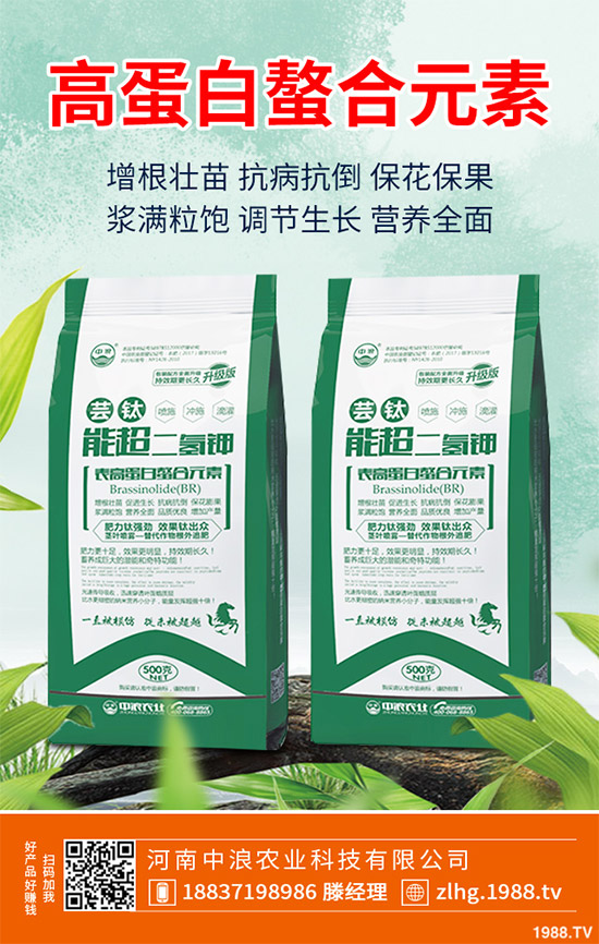 露地卷心菜什么時(shí)候種植？露地卷心菜種植技術(shù)大全