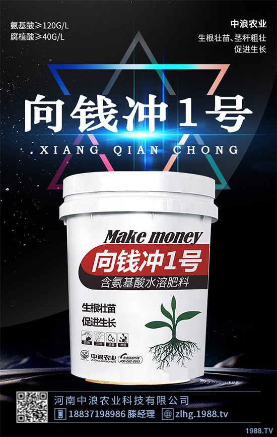 露地卷心菜什么時(shí)候種植？露地卷心菜種植技術(shù)大全