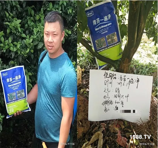 神奇除青苔劑！，不反彈！干凈，青苔無蹤！