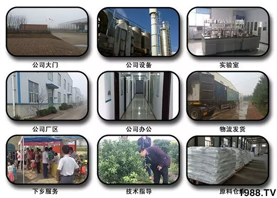 神奇除青苔劑！，不反彈！干凈，青苔無蹤！