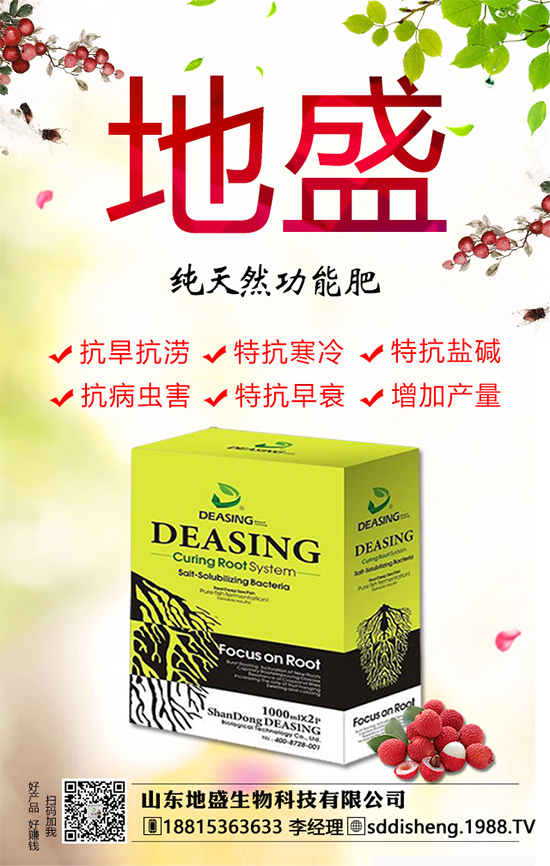 油茶樹的種植管理方法,油茶樹的經(jīng)濟(jì)價(jià)值如何?