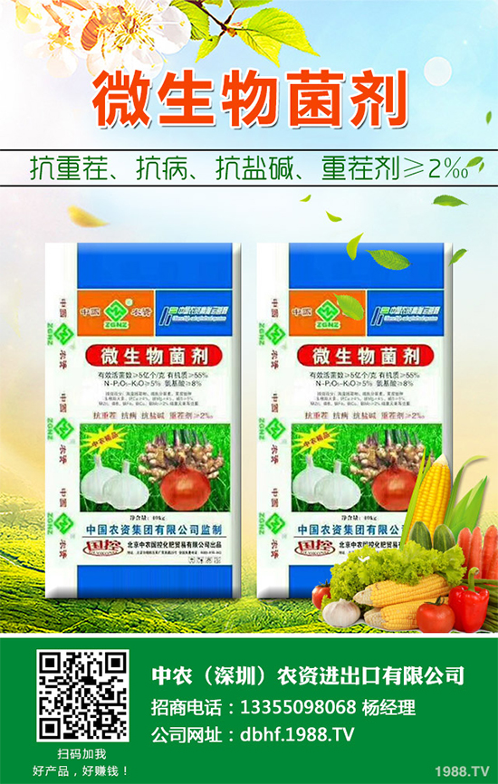 棉花怎么種植產(chǎn)量高？六大技巧讓你的棉花田輕松高產(chǎn)