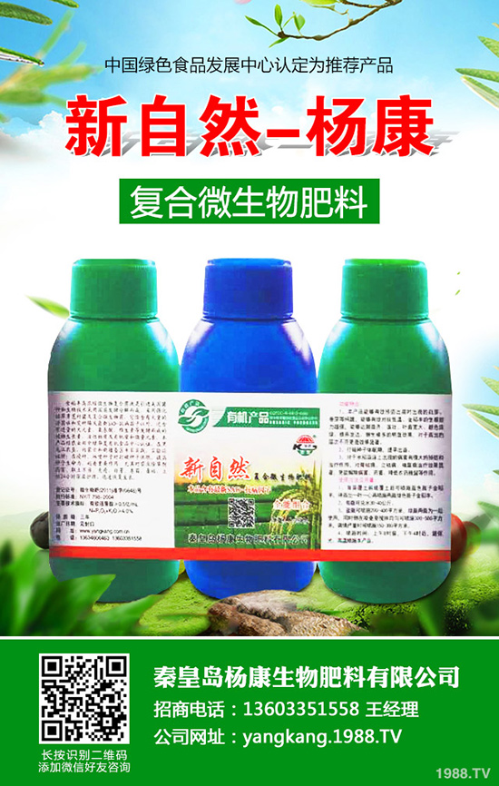 拐棗如何種植,拐棗種植技術及種植前景!