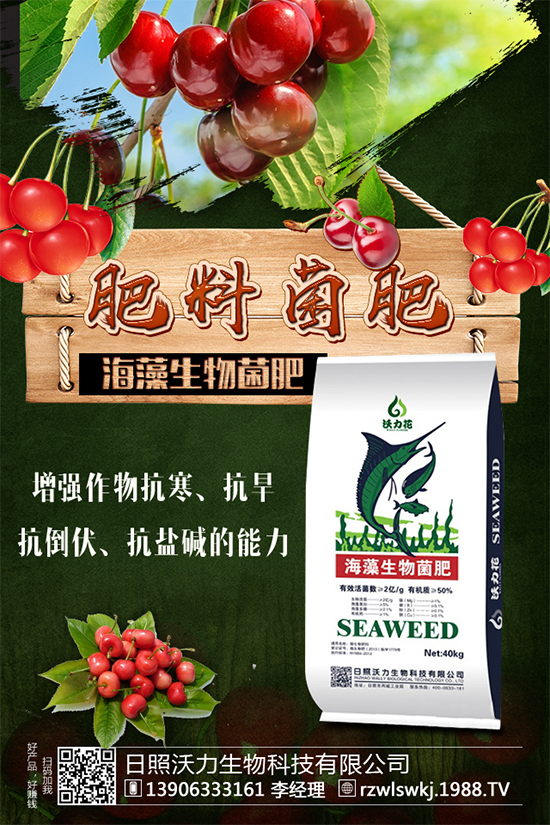 土豆怎么施肥？施什么肥料？土豆施肥要點(diǎn)！