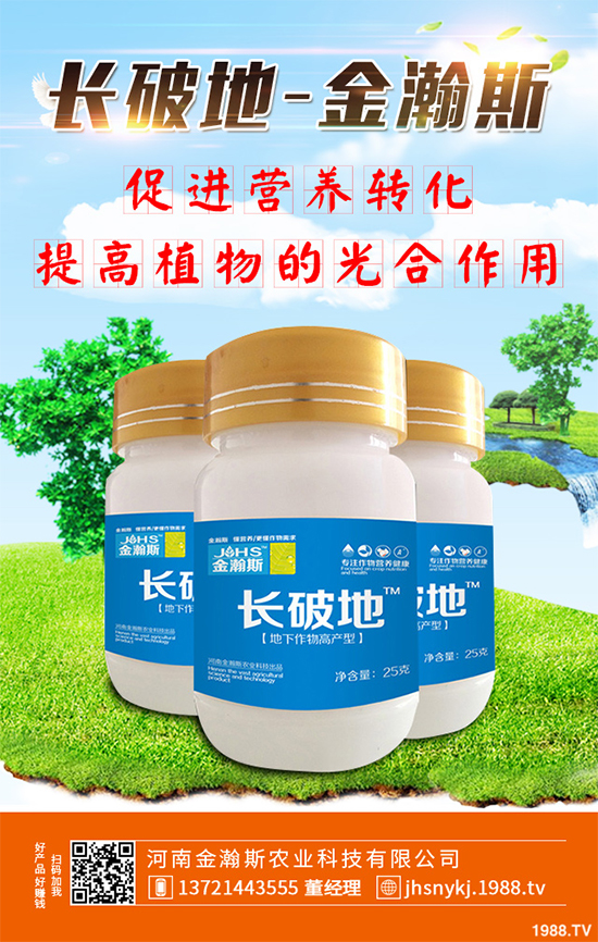 庭院種植竹子好在哪里?種植竹子的技巧與禁忌